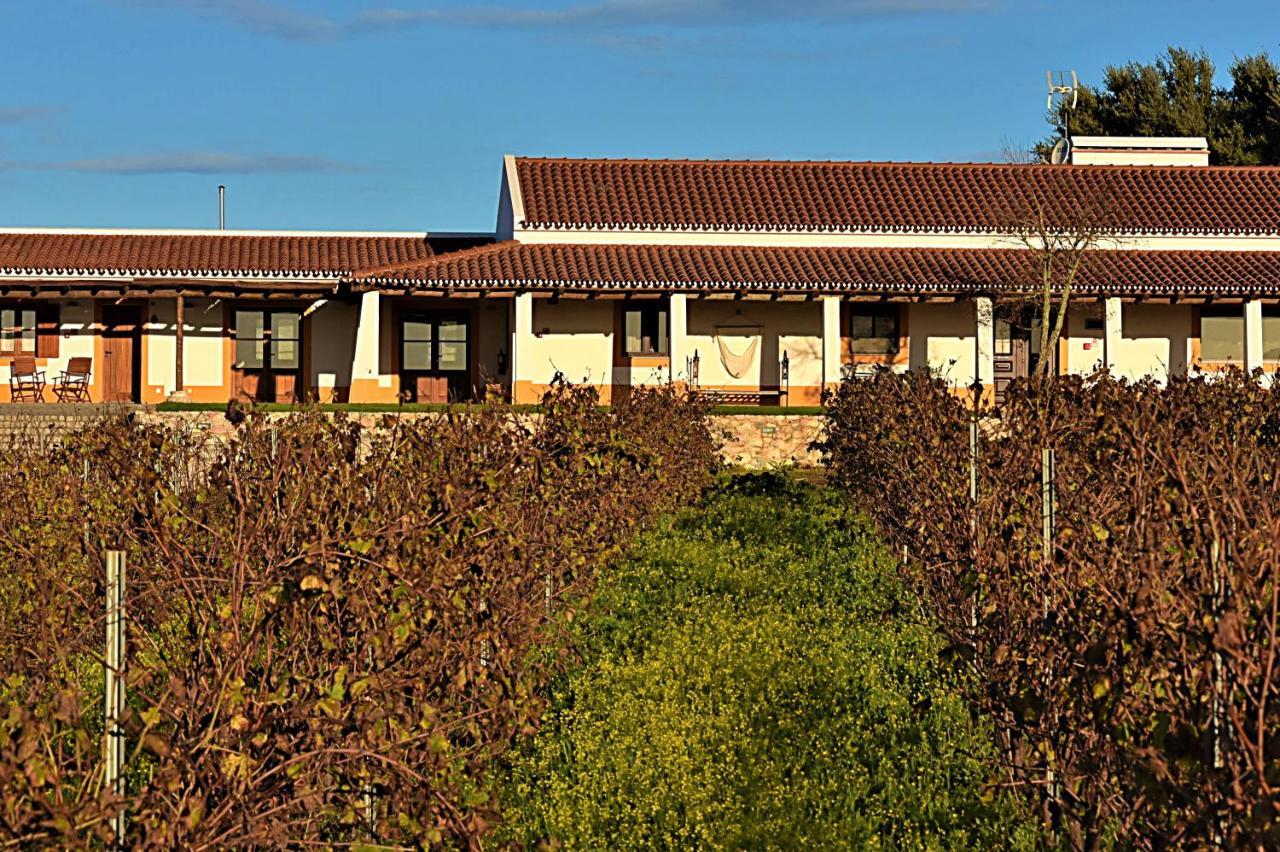 Maison d'hôtes Turismo Rural Pedremoura à Vila Ruiva  Extérieur photo