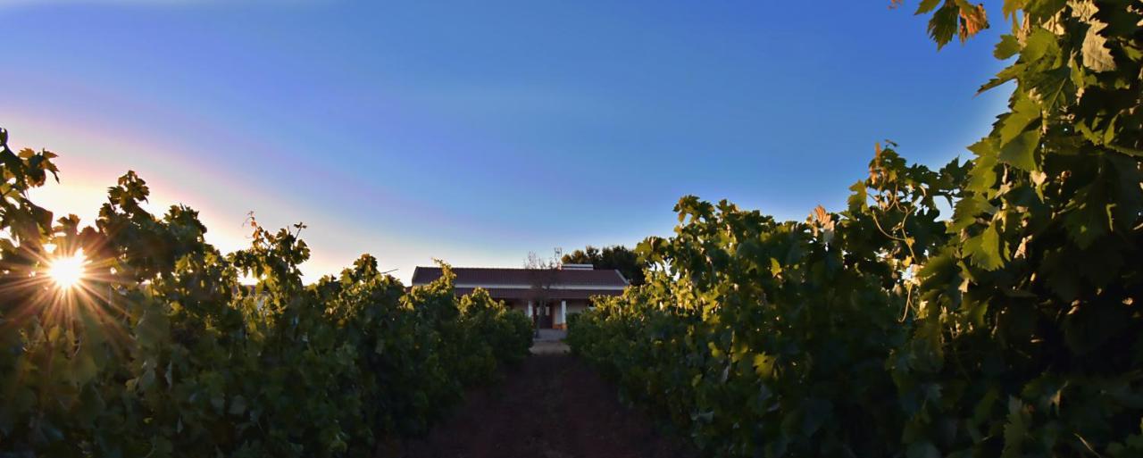 Maison d'hôtes Turismo Rural Pedremoura à Vila Ruiva  Extérieur photo